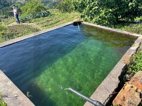 Quinta em Sever. Santa Marta de Penaguiao. Um Refúgio de Charme no Coração do Douro