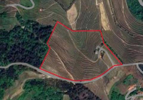 Quinta de Charme no Coração do Douro – Uma Oportunidade Única