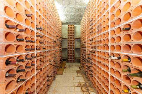 Extraordinária Moradia com Piscina de 80 m2 e Terreno de 2 400 m2 - Fermentões, Guimarães