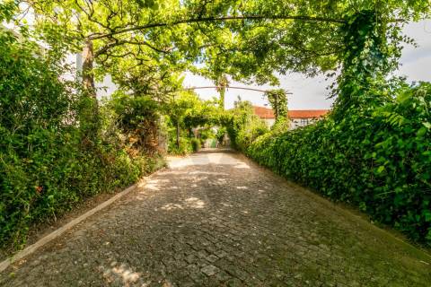 Quinta com História em Barcelinhos – Moradia T3 e Terreno