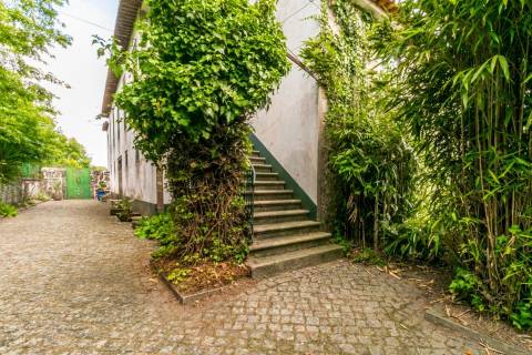 Quinta com História em Barcelinhos – Moradia T3 e Terreno