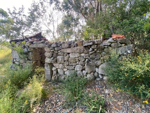 Moradia com Terreno para turismo Rural