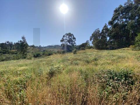 Moradia com Terreno para turismo Rural