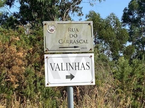 Moradia com Terreno para turismo Rural