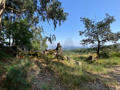 Moradia com Terreno para turismo Rural