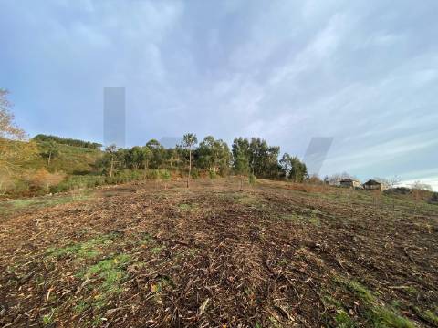 Moradia com Terreno para turismo Rural