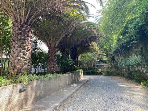 Apartamento T1 com lugar de garagem no exclusivo condomínio Les Palaces, Porto