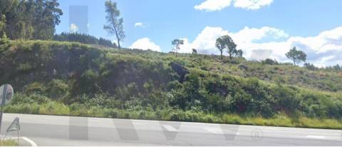 Terreno com Grande Potencial – 45.000m² Braga – Freguesia de Algeriz e Santa Lucrécia