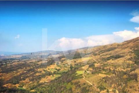 Terreno no Parque Natural da Serra da Estrela de 4,8 hectares