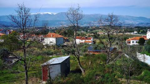 Excelente Oportunidade - Terreno c/ Viabilidade de Construção – Aldeia de Joanes, Fundão