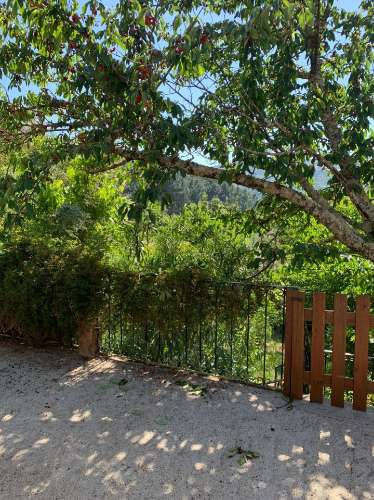 Quintinha com Duas Casas Centenárias em Pedra 