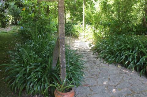 Quintinha com Duas Casas Centenárias em Pedra 