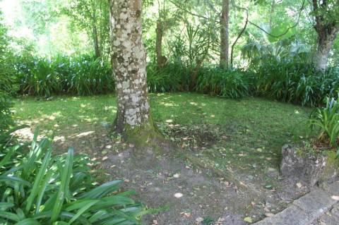 Quintinha com Duas Casas Centenárias em Pedra 
