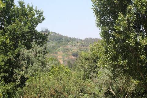 Quintinha com Duas Casas Centenárias em Pedra 