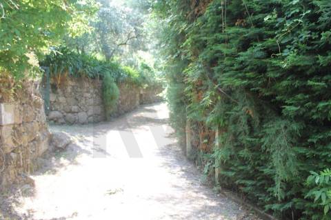 Quintinha com Duas Casas Centenárias em Pedra 