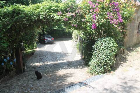 Quintinha com Duas Casas Centenárias em Pedra 