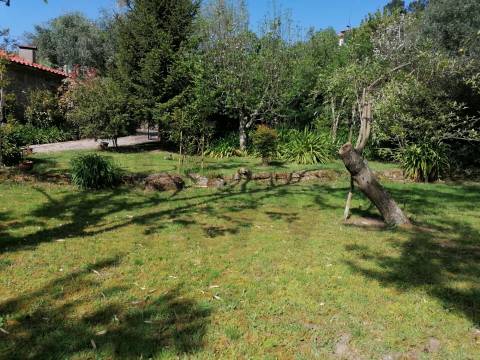 Quintinha com Duas Casas Centenárias em Pedra 
