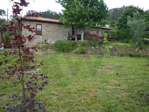 Quintinha com Duas Casas Centenárias em Pedra 