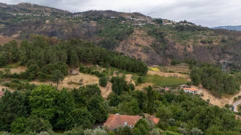 Quintinha com Duas Casas Centenárias em Pedra 