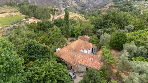 Quintinha com Duas Casas Centenárias em Pedra 