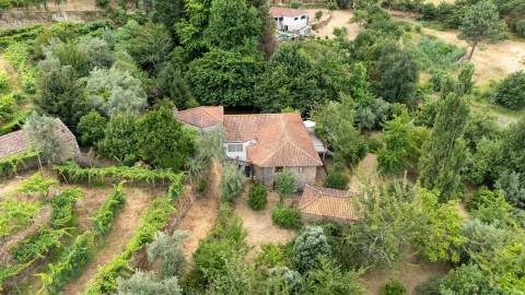 Quintinha com Duas Casas Centenárias em Pedra 