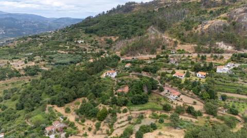 Quintinha com Duas Casas Centenárias em Pedra 