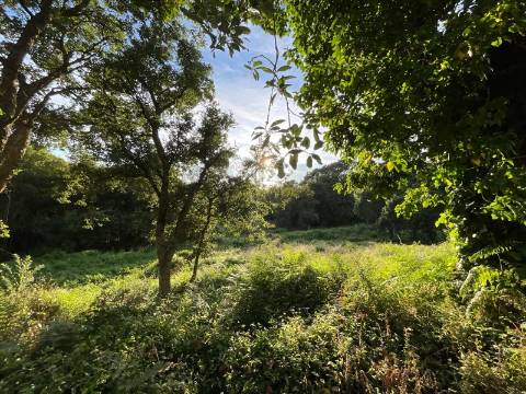 Terreno para Construção em Esposende