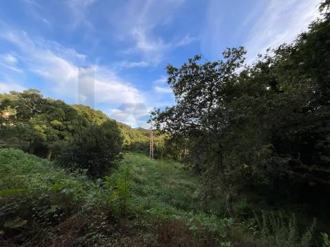 Terreno para Construção em Esposende