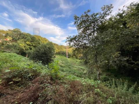 Terreno para Construção em Esposende