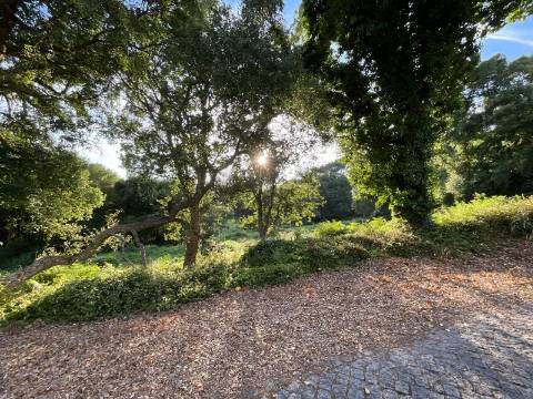 Terreno para Construção em Esposende