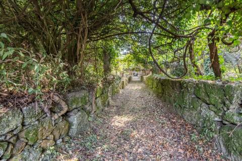 Propriedade histórica "Casa da Ponte", em Arcos de Valdevez