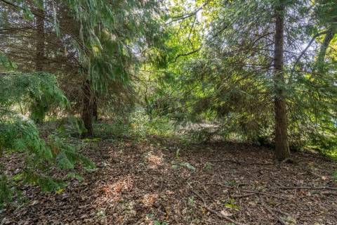 Propriedade histórica "Casa da Ponte", em Arcos de Valdevez