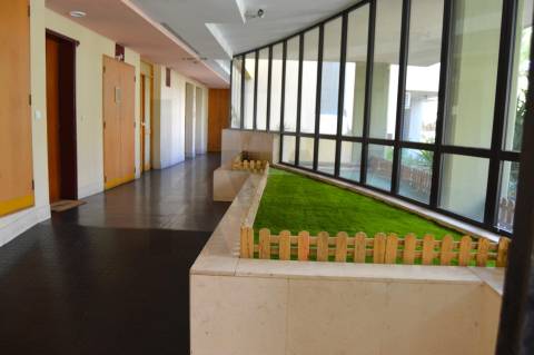 Apartamento T1 em Queluz