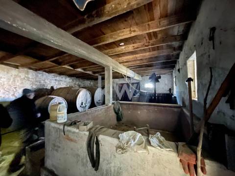 MORADIA T3 ADEGA PARA RECONSTRUÇÃO EM NARIZ (AVEIRO)