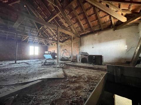 MORADIA T3 ADEGA PARA RECONSTRUÇÃO EM NARIZ (AVEIRO)