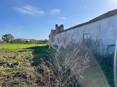 MORADIA T3 ADEGA PARA RECONSTRUÇÃO EM NARIZ (AVEIRO)