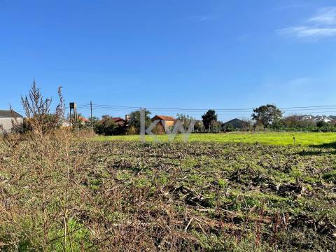 MORADIA T3 ADEGA PARA RECONSTRUÇÃO EM NARIZ (AVEIRO)