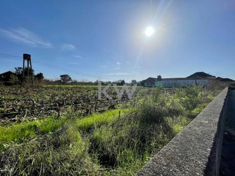 MORADIA T3 ADEGA PARA RECONSTRUÇÃO EM NARIZ (AVEIRO)