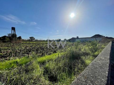 MORADIA T3 ADEGA PARA RECONSTRUÇÃO EM NARIZ (AVEIRO)