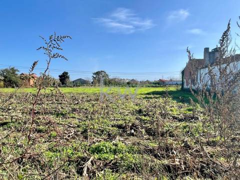 MORADIA T3 ADEGA PARA RECONSTRUÇÃO EM NARIZ (AVEIRO)