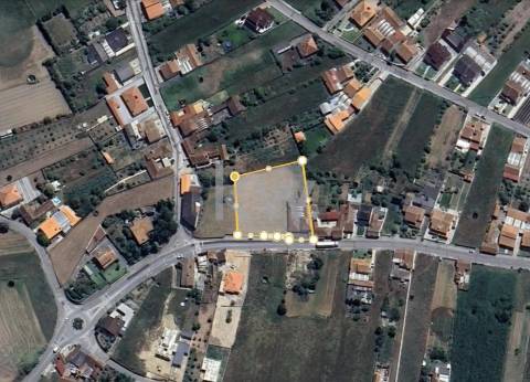 MORADIA T3 ADEGA PARA RECONSTRUÇÃO EM NARIZ (AVEIRO)