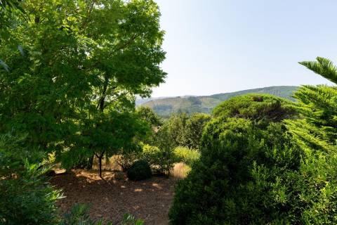 Casa Rústica com Piscina -Paredes de Coura- Rubiães