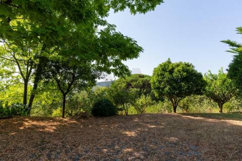 Casa Rústica com Piscina -Paredes de Coura- Rubiães