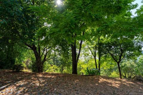 Casa Rústica com Piscina -Paredes de Coura- Rubiães