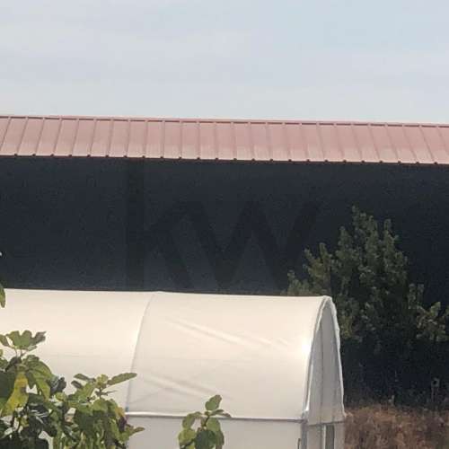 Quinta Agrícola  em produção de Figos 