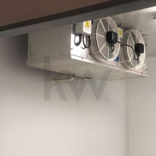 Quinta Agrícola  em produção de Figos 