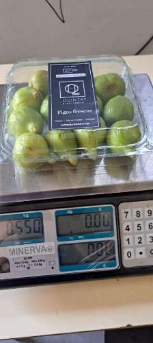 Quinta Agrícola  em produção de Figos 