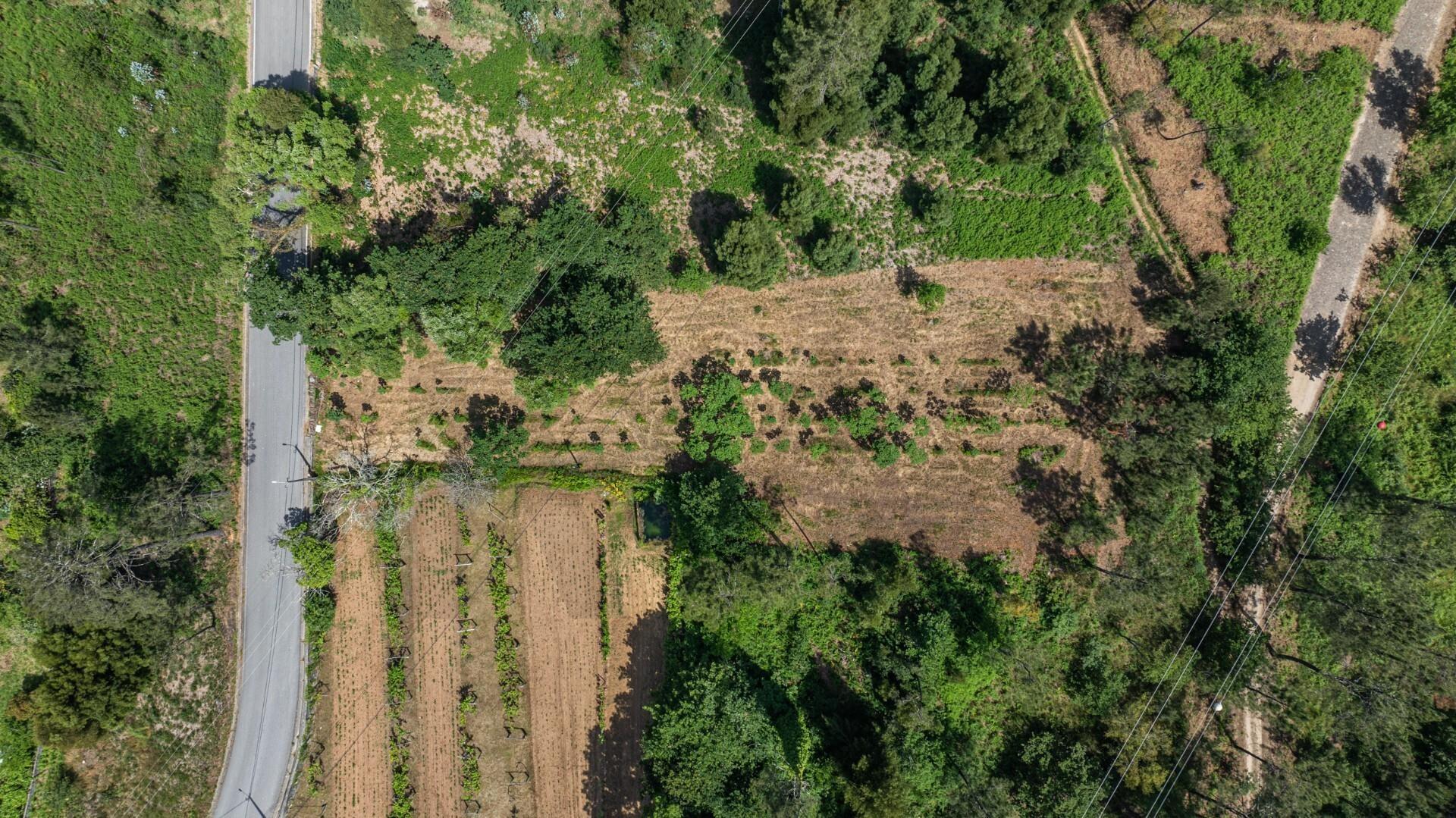 Terreno com PIP aprovado em Orbacém