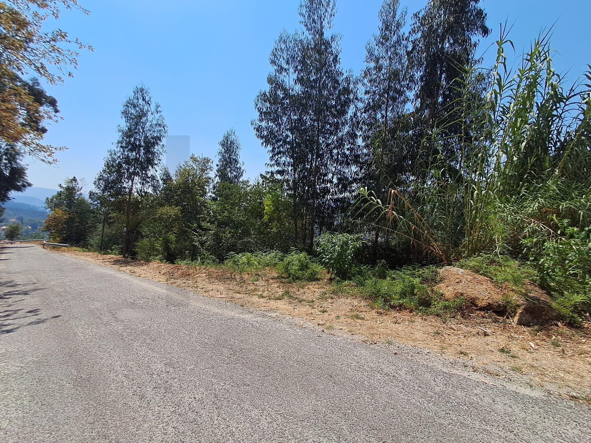 Terreno em Aboadela com capacidade construtiva