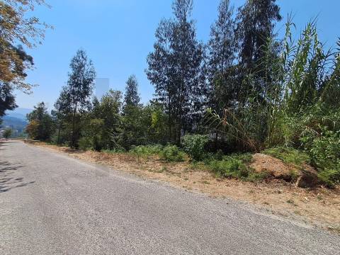 Terreno em Aboadela com capacidade construtiva